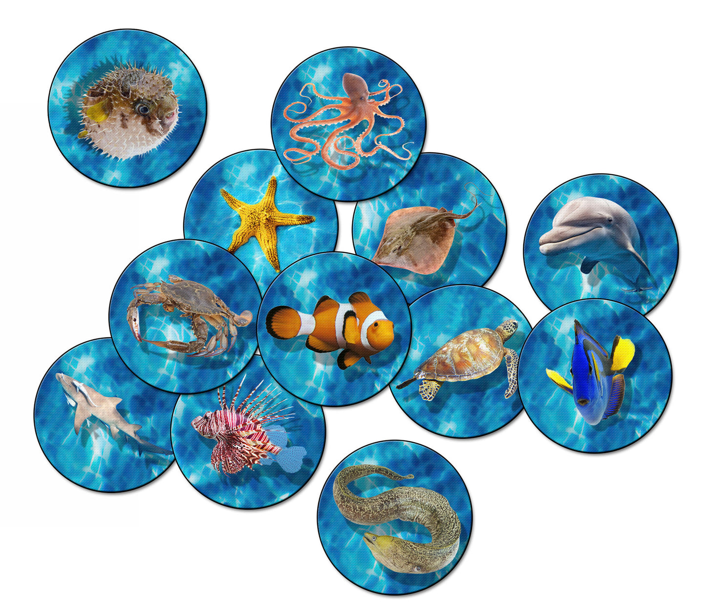INTO THE SEA SET OF 12
