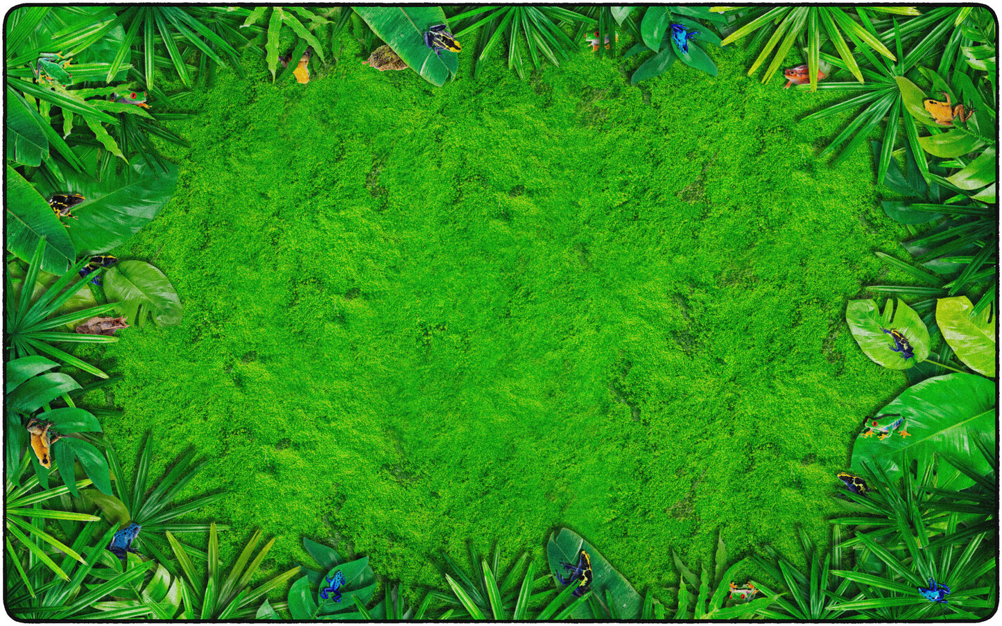 RAINFOREST FROGS