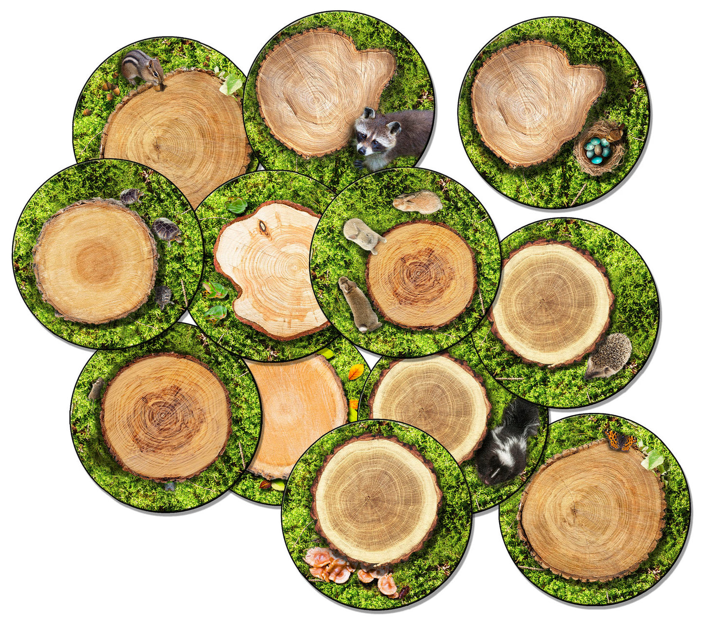 FOREST FLOOR SET OF 12