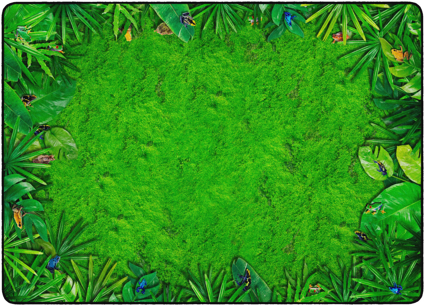 RAINFOREST FROGS