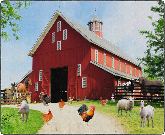 BARN ANIMALS